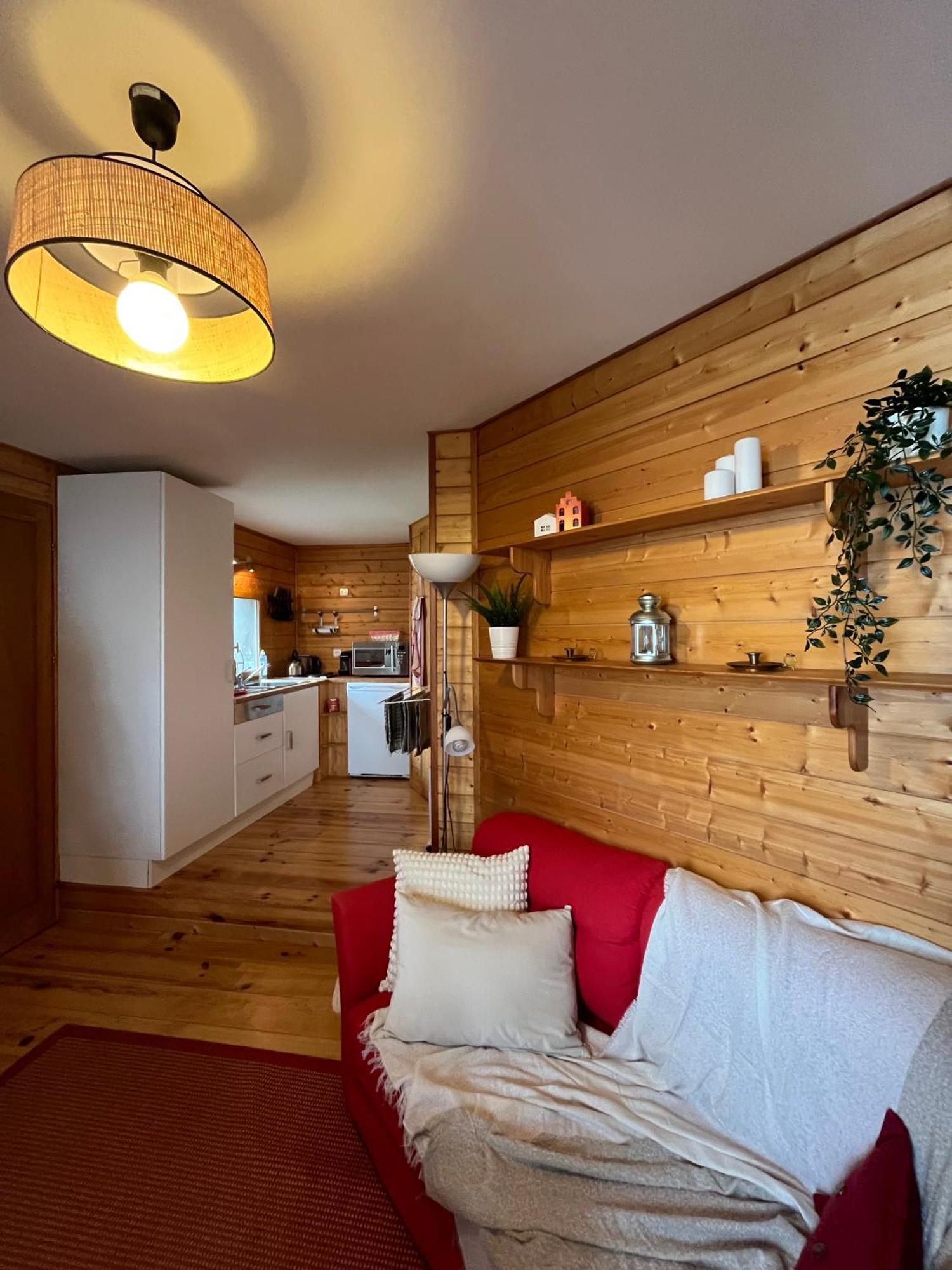 Chalet Des Myrtilles - Chalet Cosy Avec Vue Arette Exterior photo